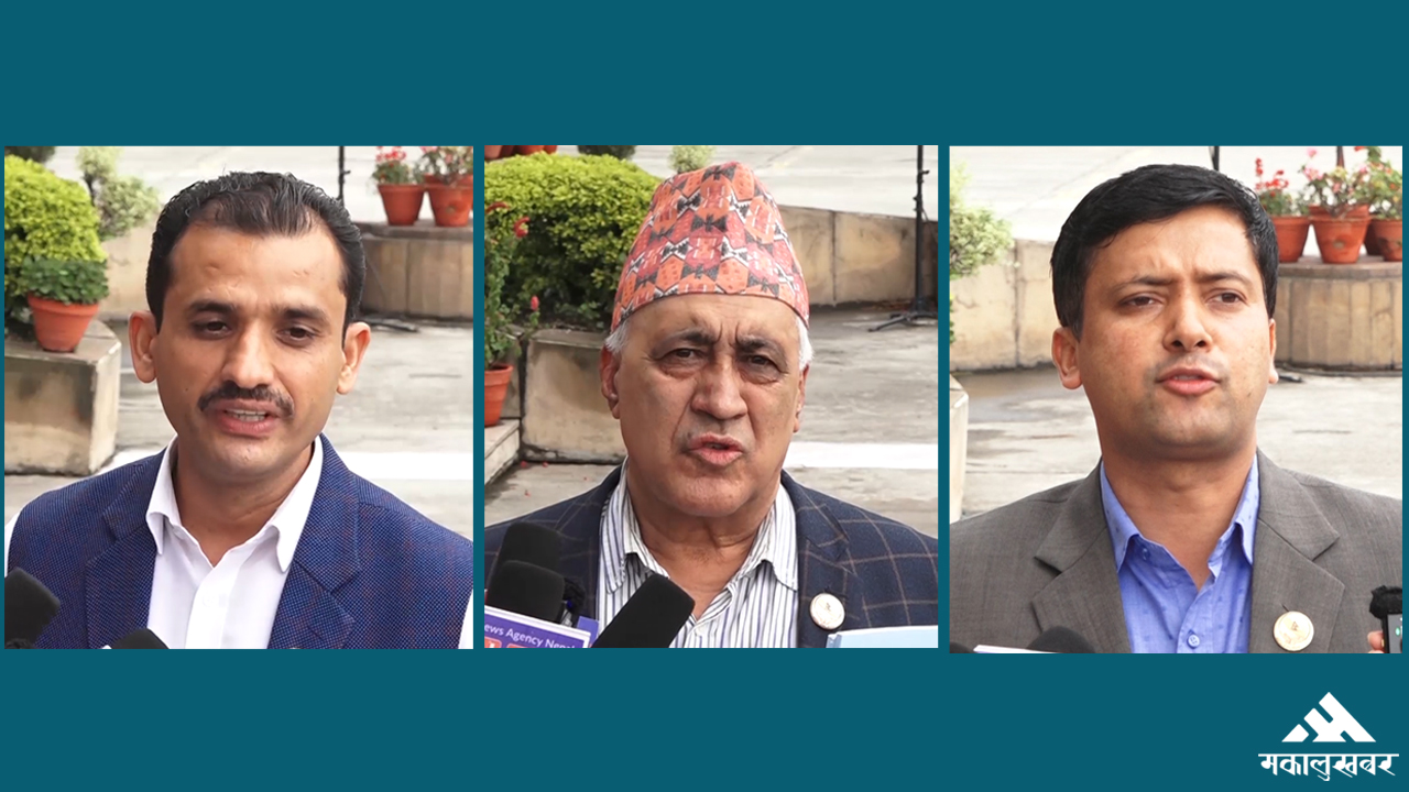 नयाँ सरकार गठनमा संविधानको चर्चा, यस्तो छ सांसदहरुको तर्क