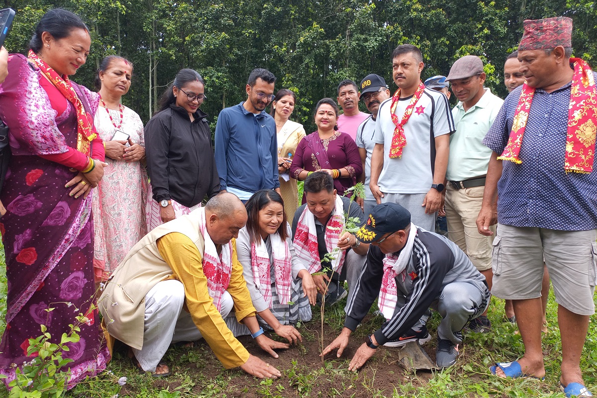 वन्यजन्तुलाई वनभित्रै आहारा व्यवस्थापन गर्न ‘फ्रुट फरेष्ट’ अवधारणा : इन्दिरा राना