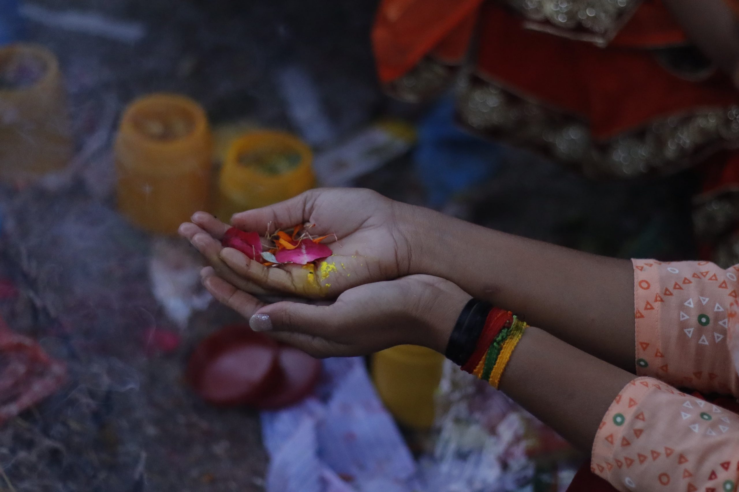 तस्बिरमा श्रावणी मेला ‘बोलबम’