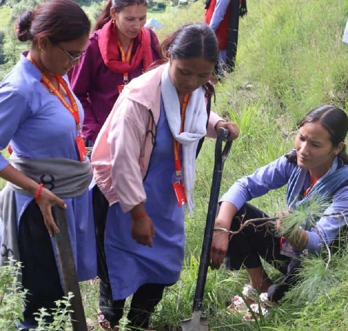तीजको अवसरमा शिक्षिकाहरूद्धारा वृक्षरोपण