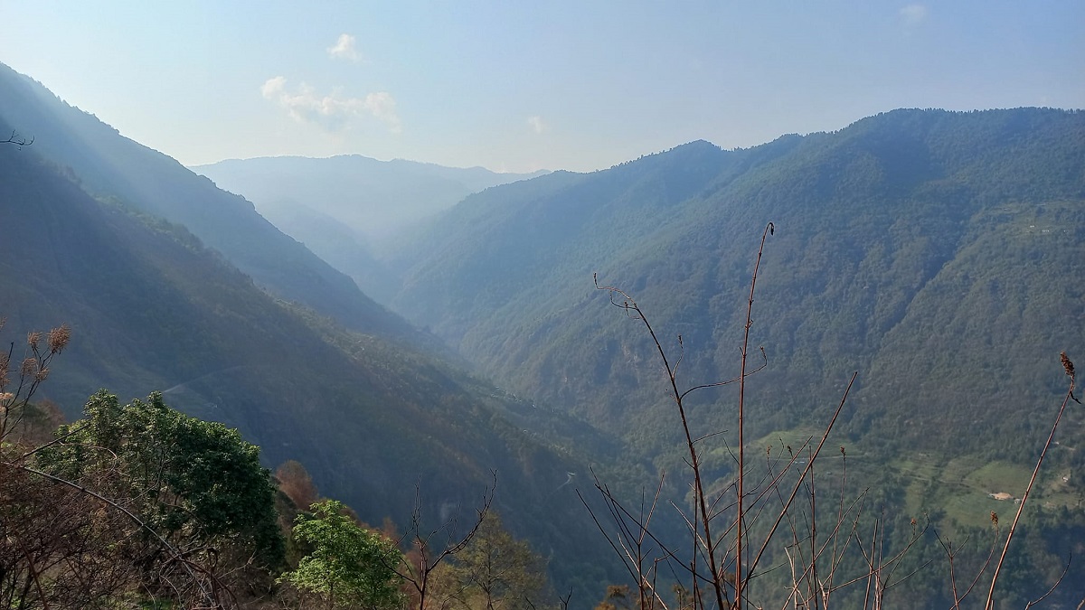 डढेलोको असरले जङ्गलमा देखिन छाडे जनावर