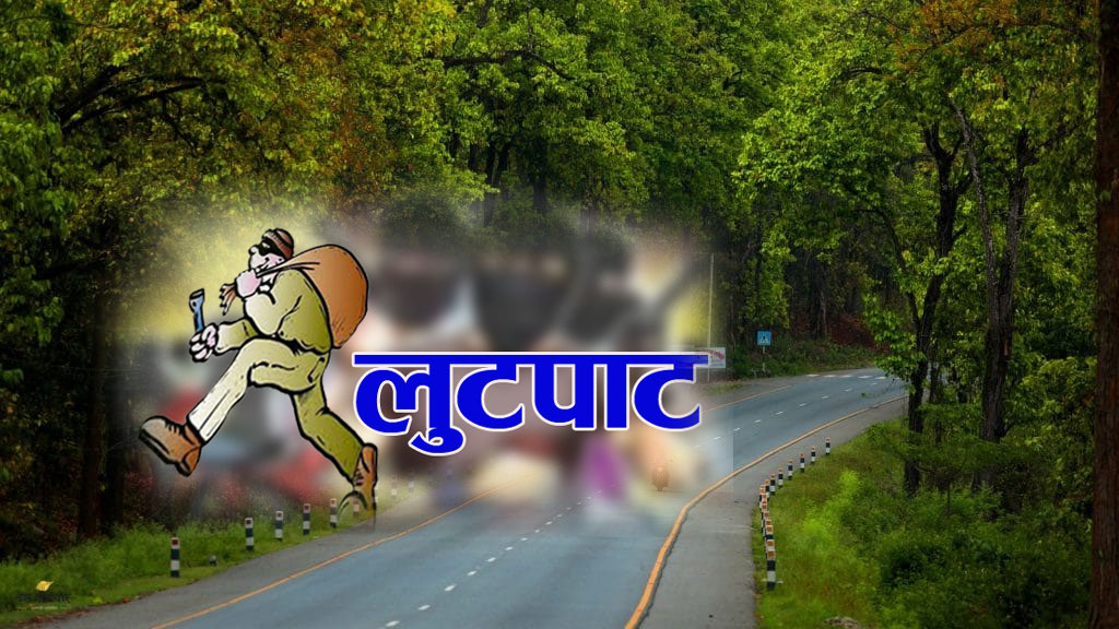 कुटपिट गरी धनमाल लुटपाट