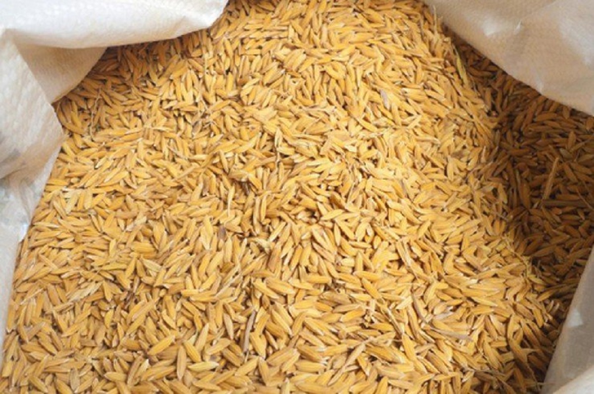 किसानको धान खरिदमा चुनौती