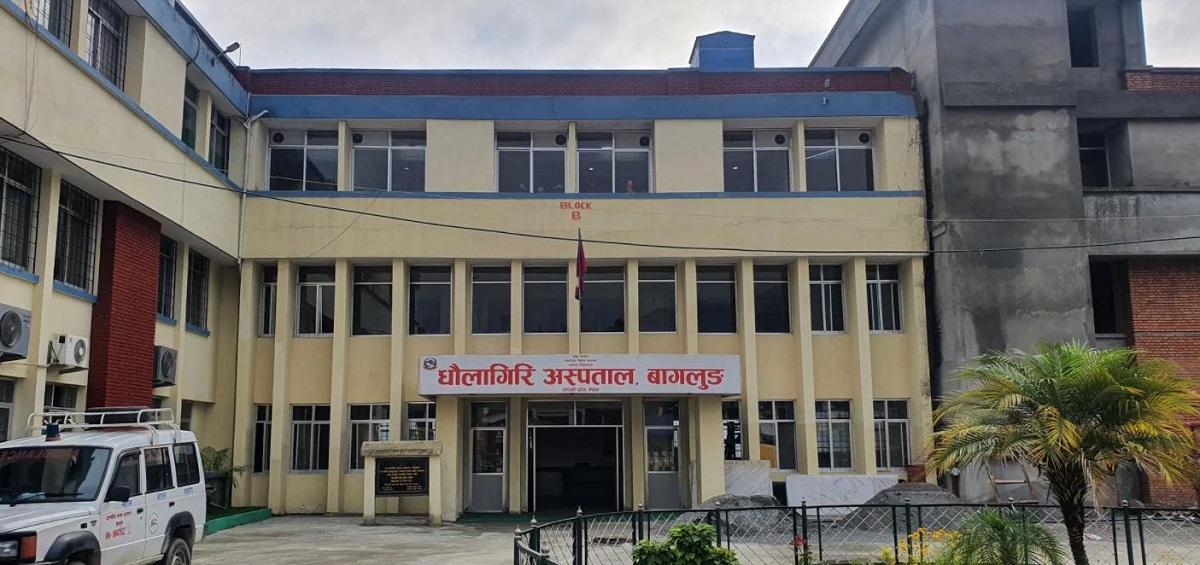 धौलागिरि अस्पतालमा सर्पदंशको सफल उपचार