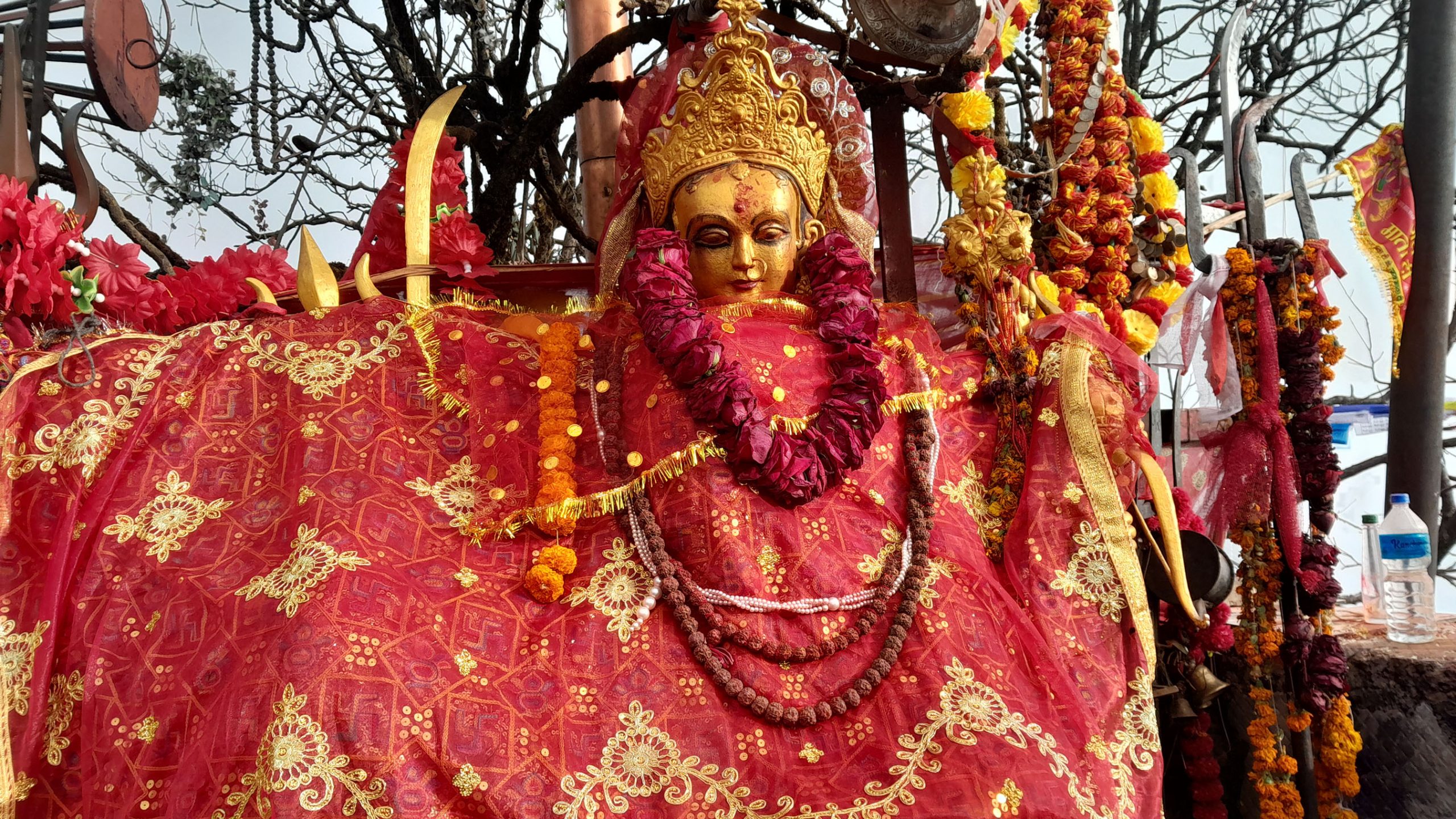 पाथीभरा क्षेत्रमा मदिरा बिक्री र सेवनमा प्रतिबन्ध