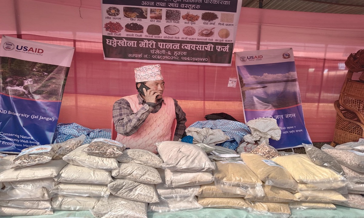 महोत्सवमा ग्राहकको मन अर्ग्यानिक खाद्यान्नमा