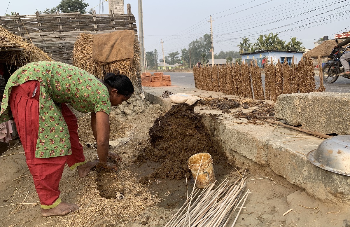 रौतहटमा खाना पकाउन गुइँठा प्रयोग