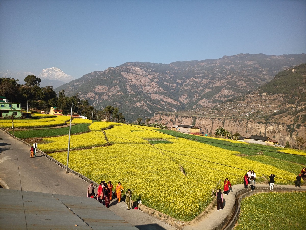 म्याग्दीको तोरीबारीमा टिकटक बनाउनेको भीड