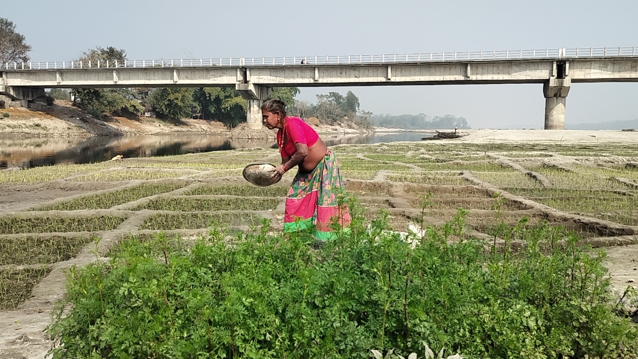 बगर खेतीले फेरिँदै फाँटाका किसानको जीवन