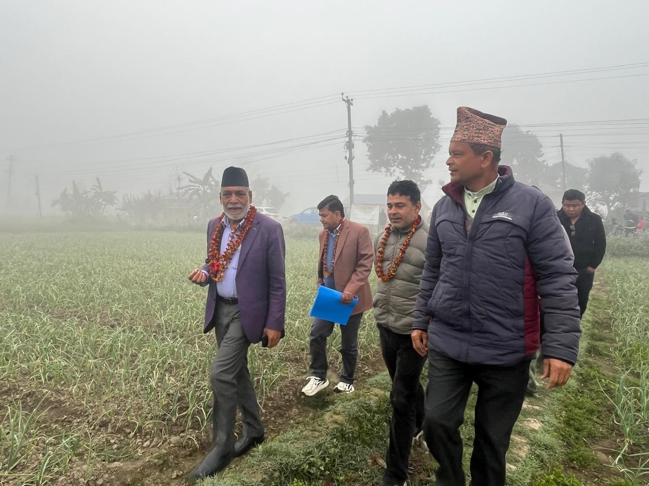 कृषिमन्त्रीद्वारा सामूहिक प्याजखेतीको अवलोकन, विषादी धेरै प्रयोग नगर्न आग्रह