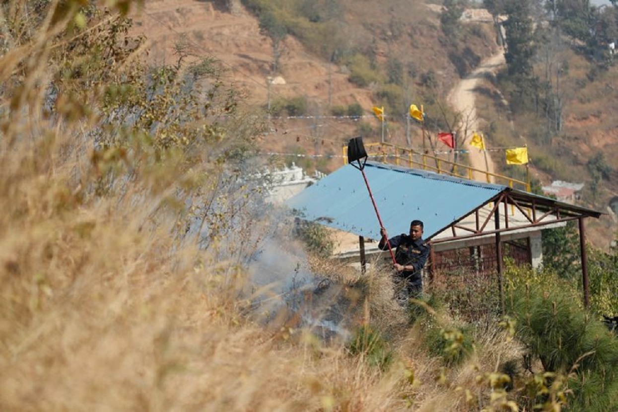 दक्षिणकालीको वनमा डढेलो