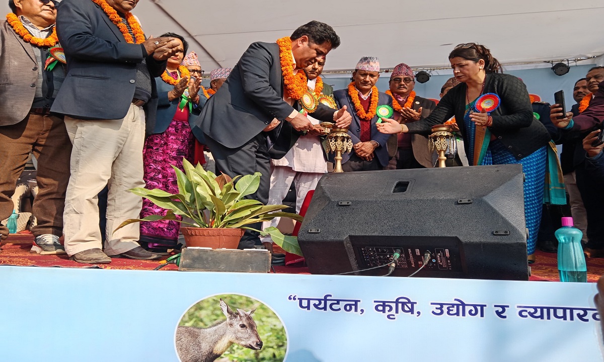 औद्योगिक क्षेत्र सुधारमा लागेका छौँ : दामोदर भण्डारी