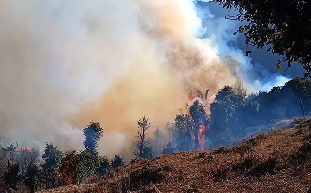 जुम्लामा ३३० हेक्टरमा डढेलोबाट वन क्षति