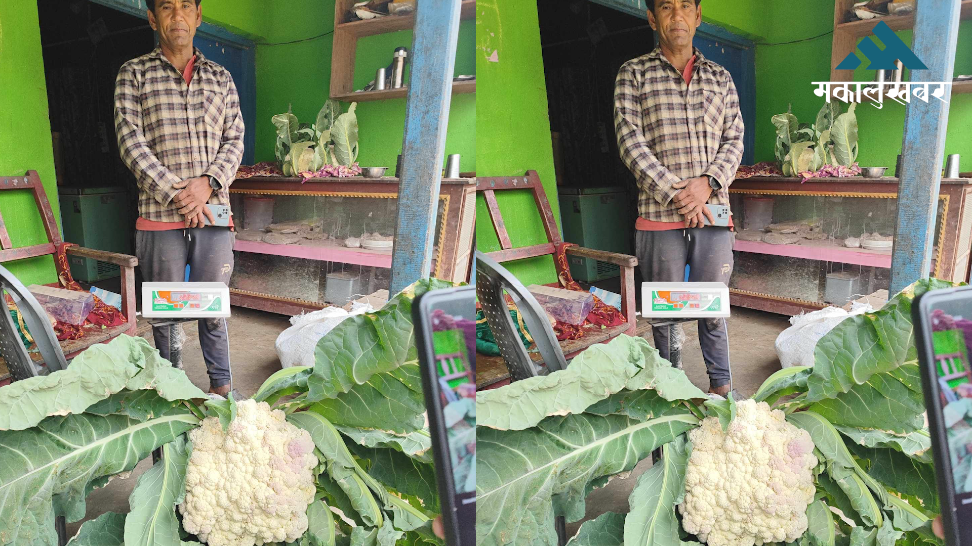 बाह्र किलोको काउली फलाएका खत्री भन्छन्– ‘विदेश जाने सोच कहिले पनि आएन’