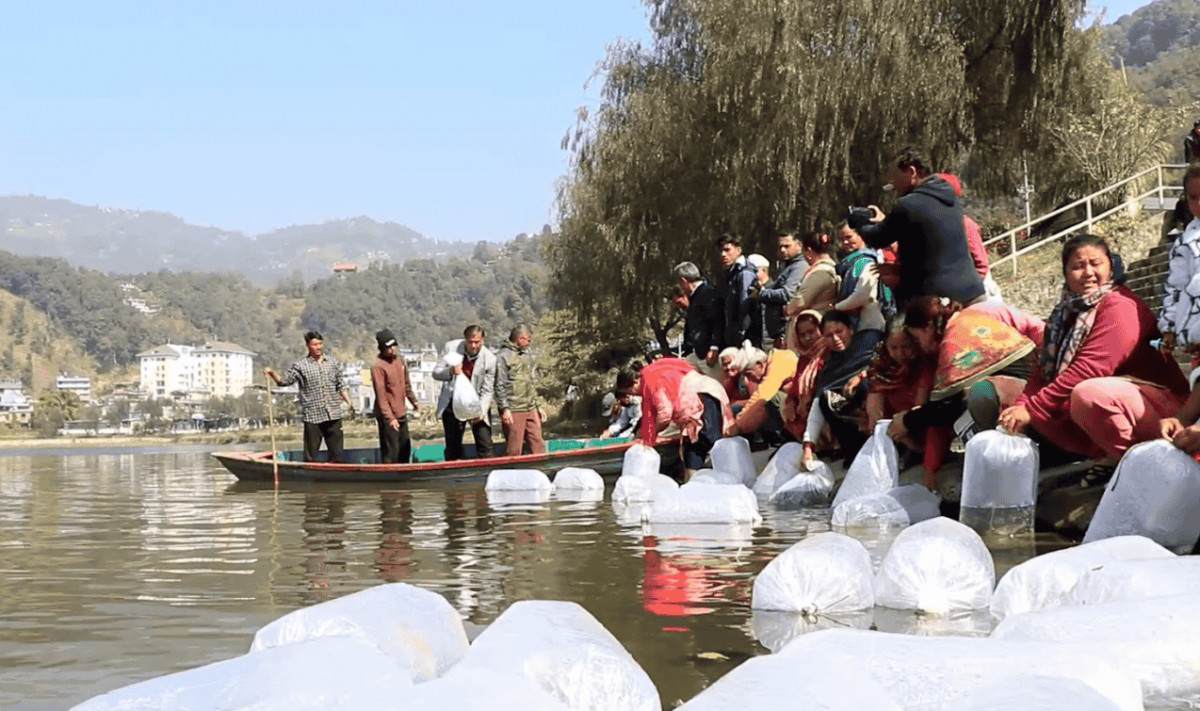 नदी खोलाका माछा संरक्षणमा जुटे बागलुङका स्थानीय तह