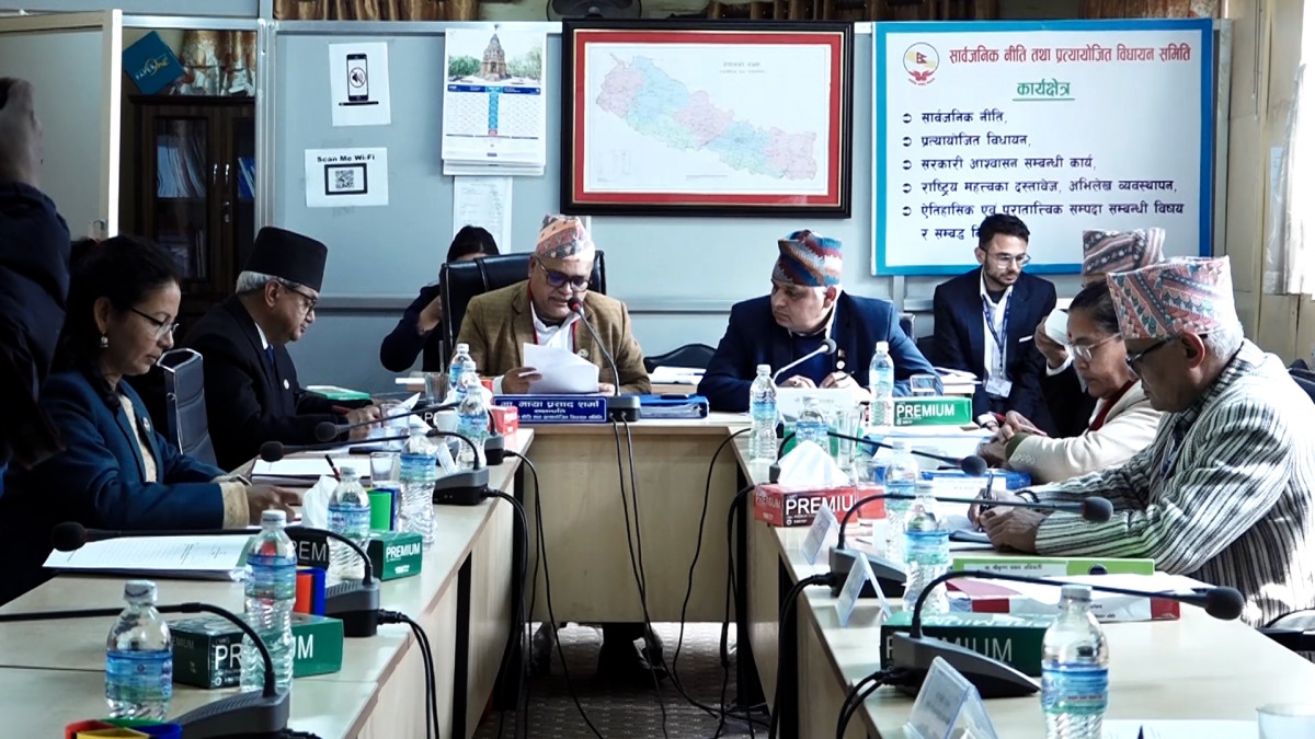 ऐन बनाउने क्रममा भएका कमजोरीहरूलाई सुधार गर्ने गरी अध्ययन प्रतिवेदन आएका छ : संविधान सभा सदस्य विडारी