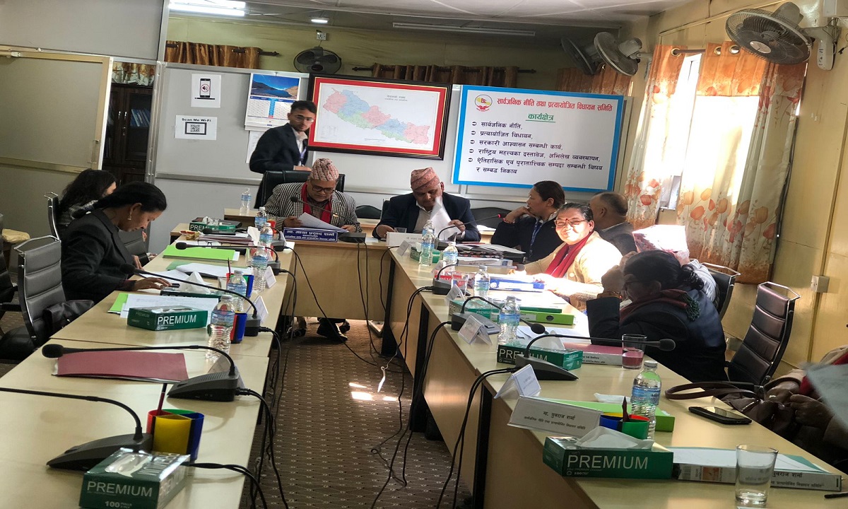 विकास र वातावरणलाई सन्तुलन गरेर अघि बढ्नुपर्नेमा जोड
