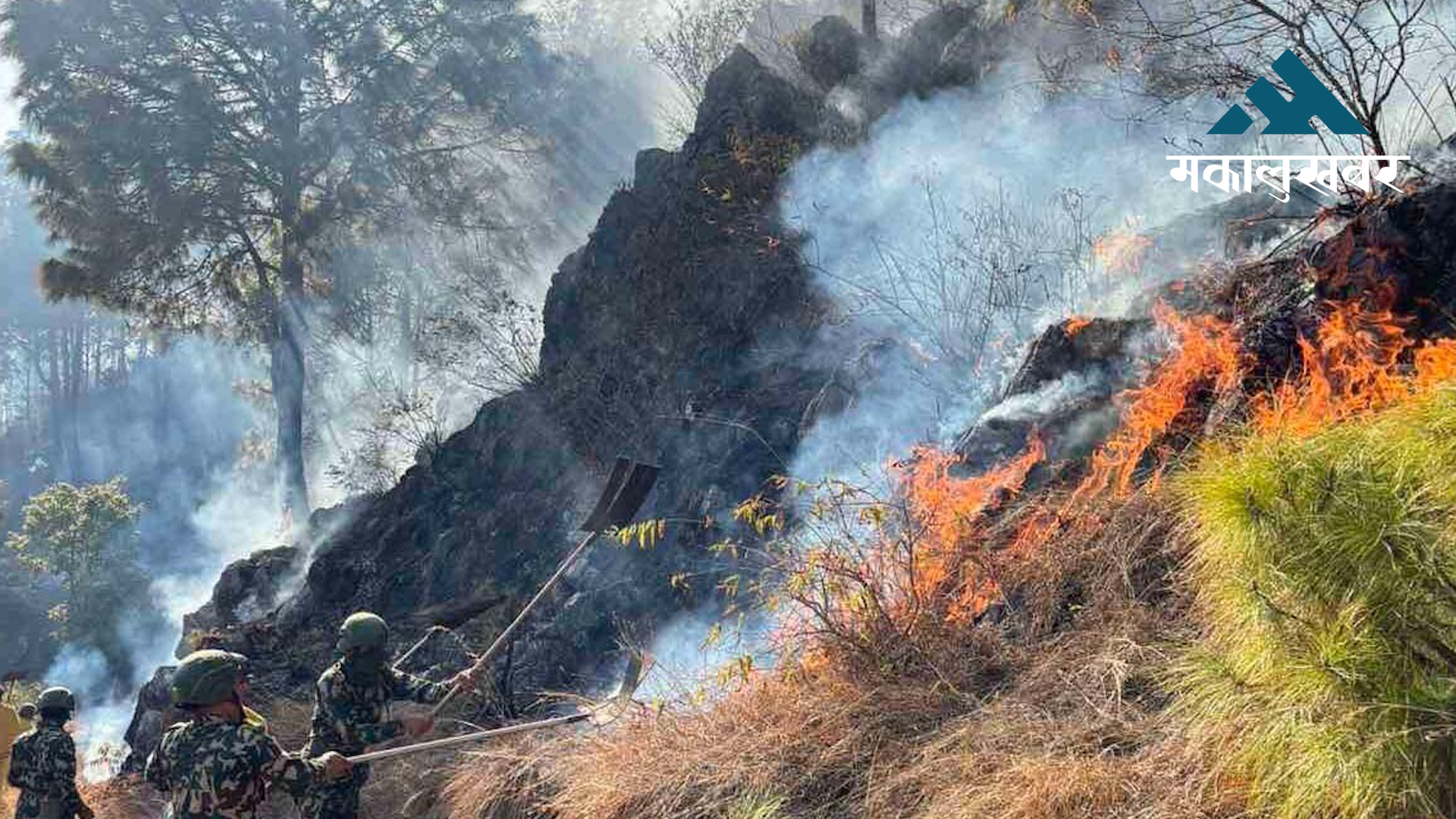 बरण्डाभार क्षेत्रमा डढेलोको उच्च जोखिम, नियन्त्रणका तयारी तीव्र