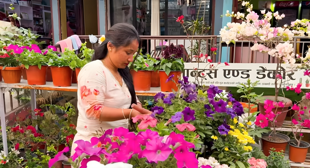 फूल बिक्री गरेरै मासिक दुई लाख आम्दानी