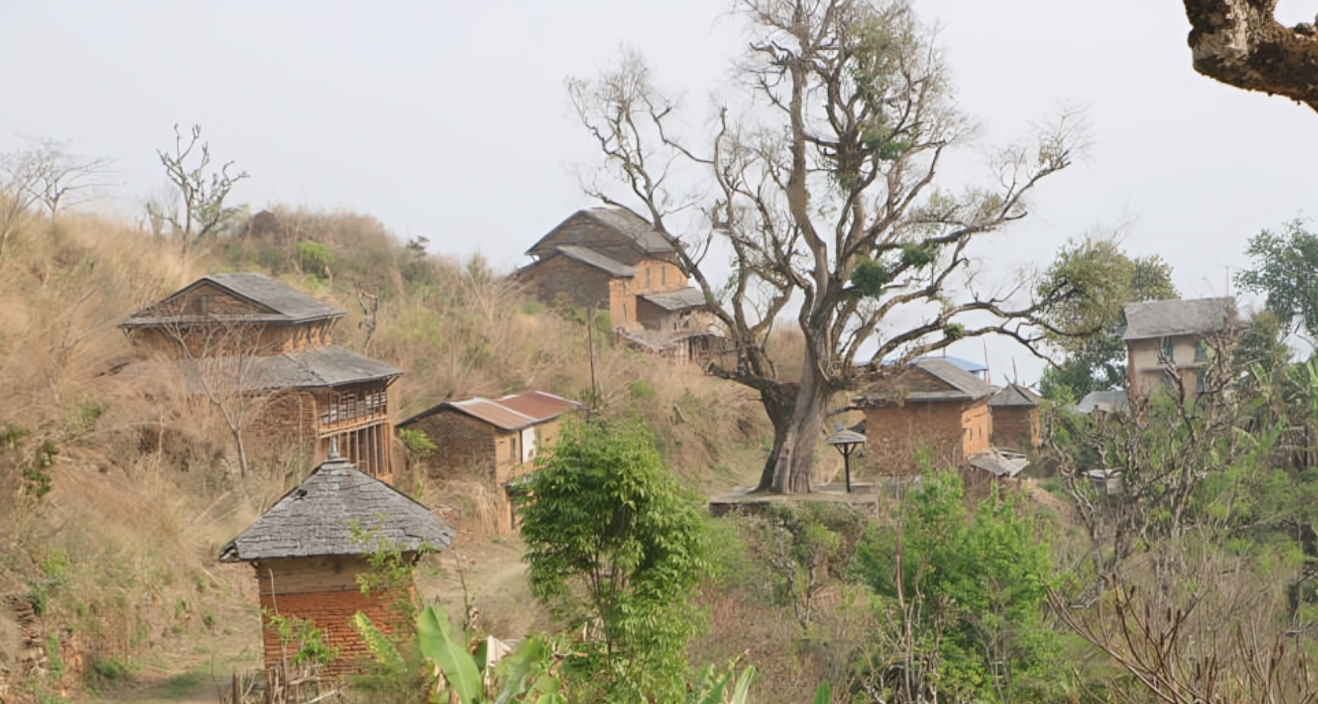 सुविधा र रोजगारी खोज्दै पहाडबाट तराई झर्ने बढे