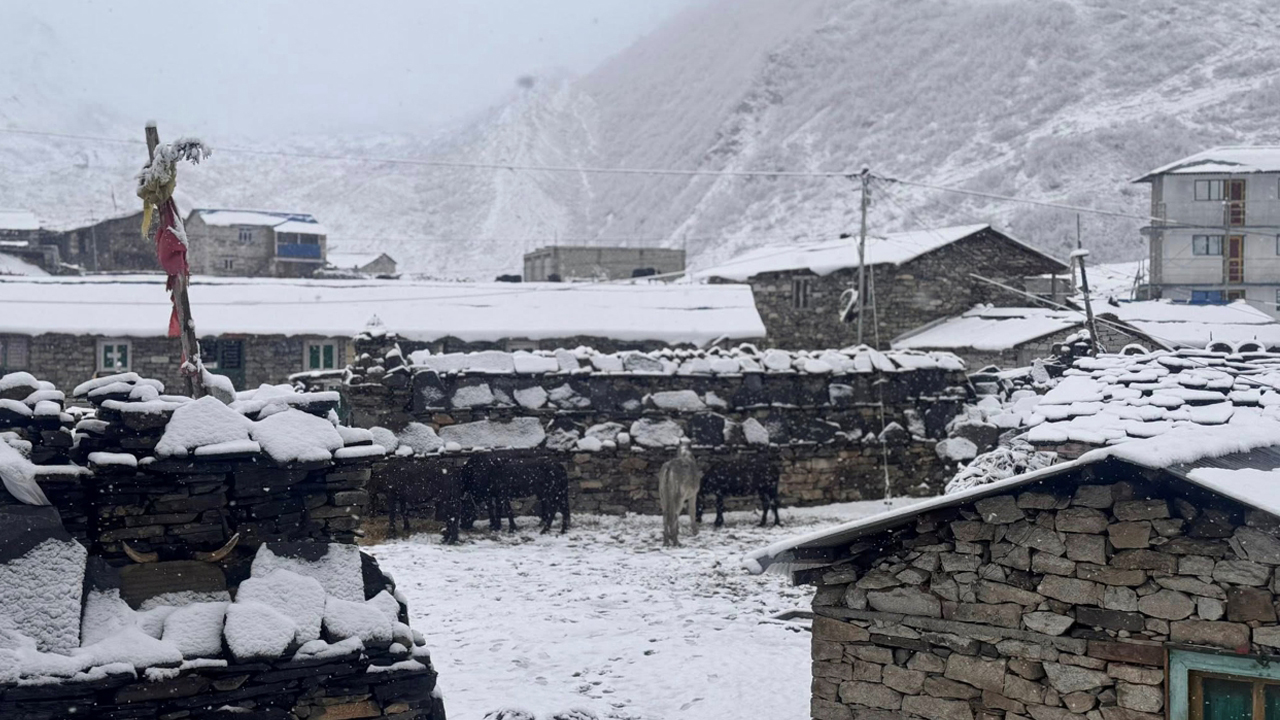 हुम्लामा यो वर्षकै पहिलोपटक हिमपात, बाली सप्रिने आशामा किसान हर्षित