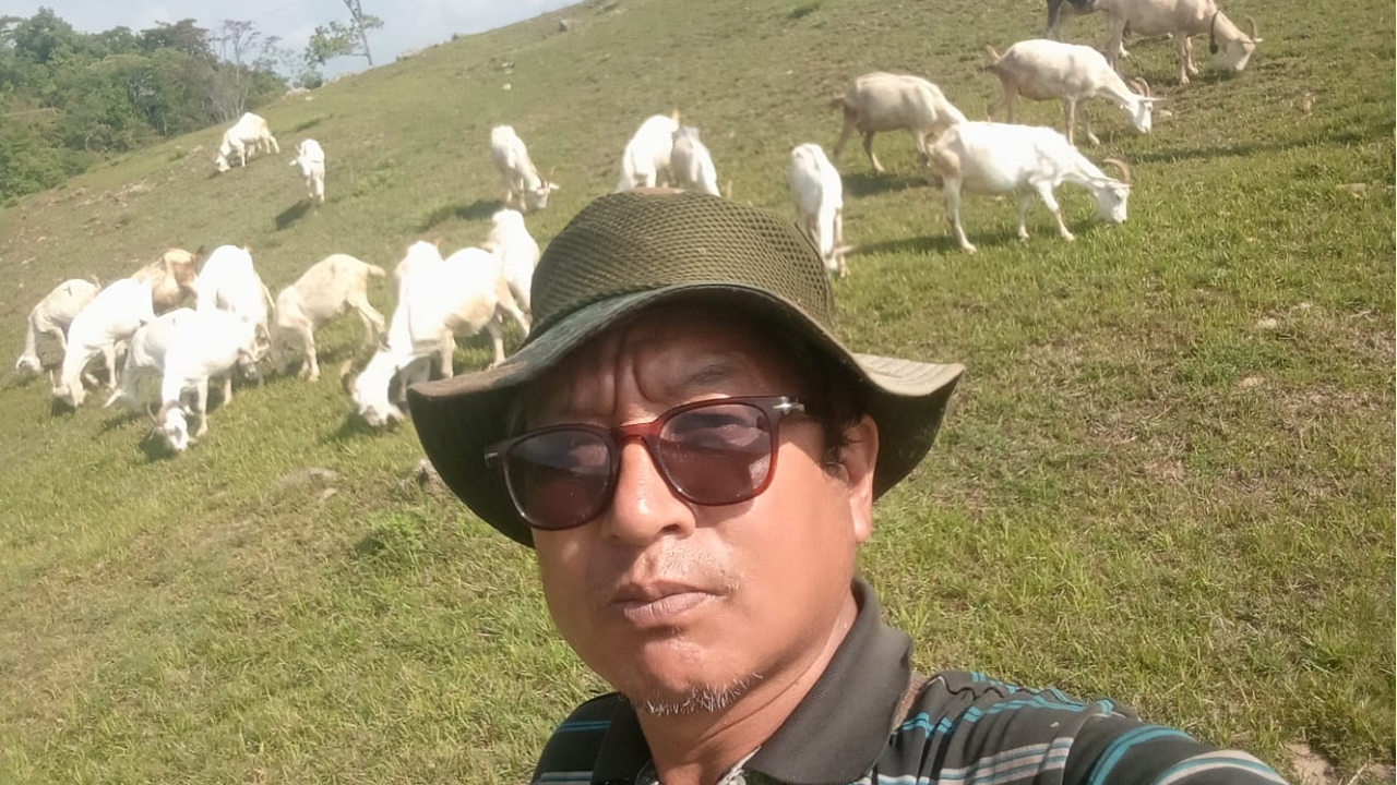 बाख्राको दूधबाट चिज बनाएर आम्दानी गर्दै गुरुङ