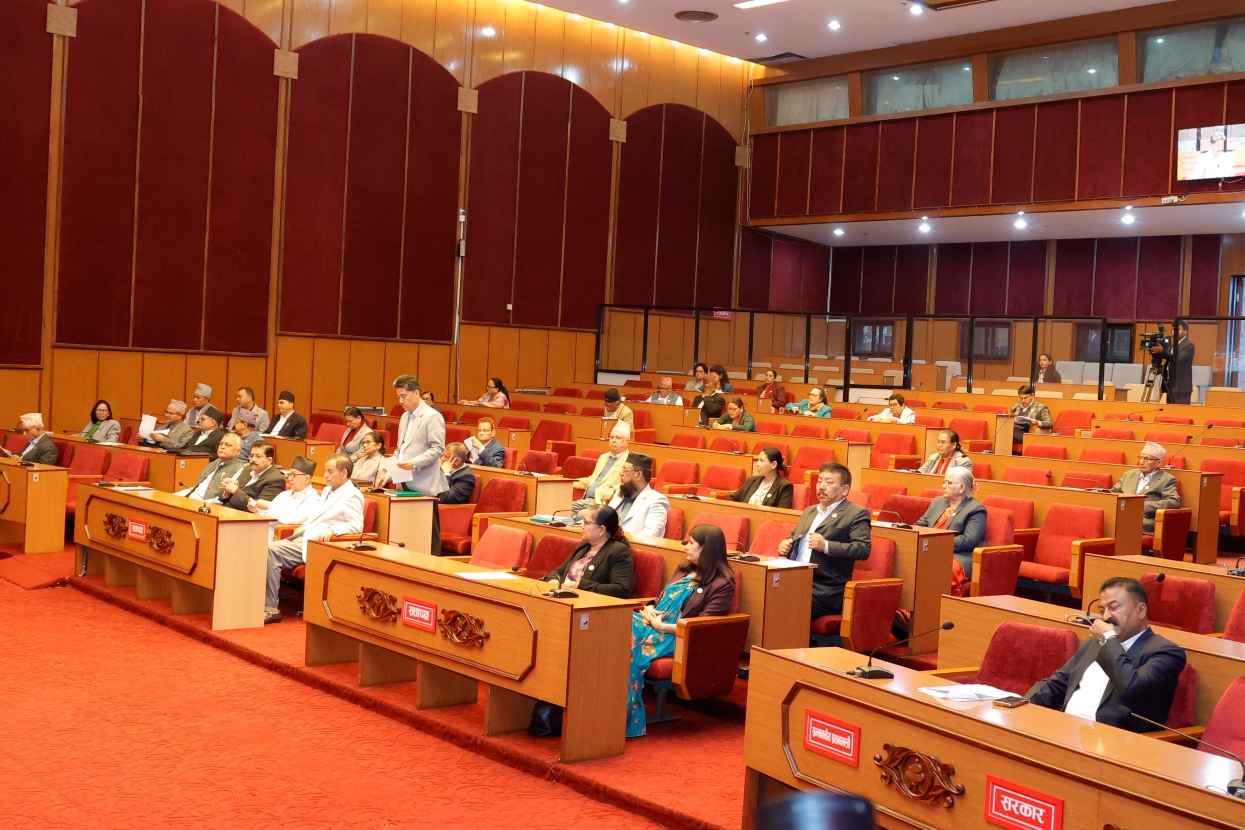 विपद् व्यवस्थापनसहित समसामयिक विषयमा सरकारको ध्यानाकर्षण
