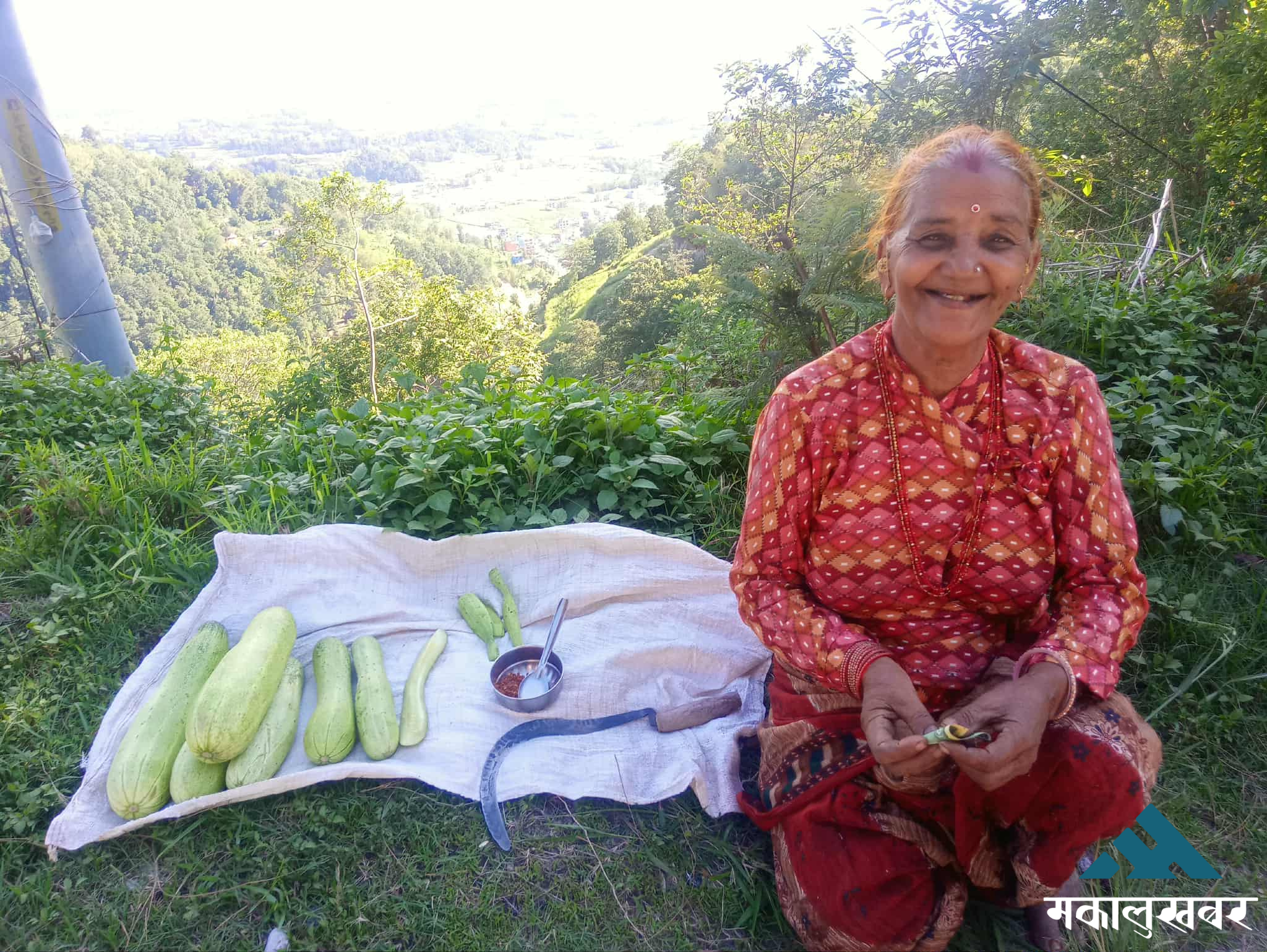 कर्मठताको प्रेरणादायी कथा : ७० वर्षको उमेरमा पनि काम गरेर थाकिनन् पार्वती