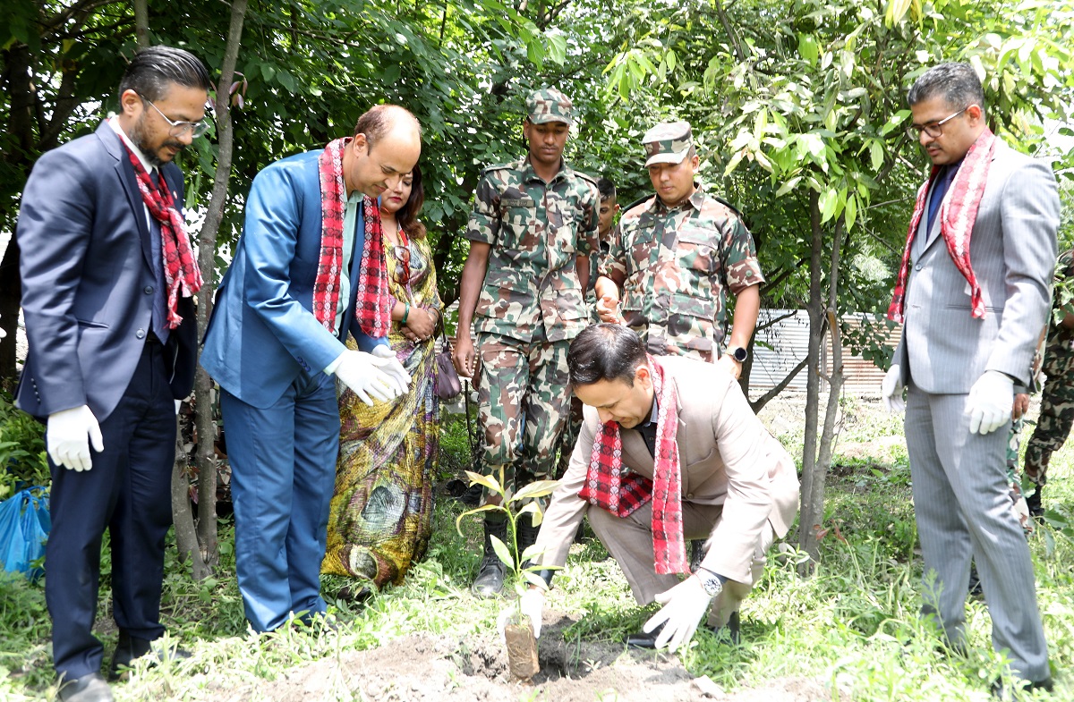 ग्लोबल आइएमई बैंकद्वारा वृहत् वृक्षारोपण कार्यक्रम