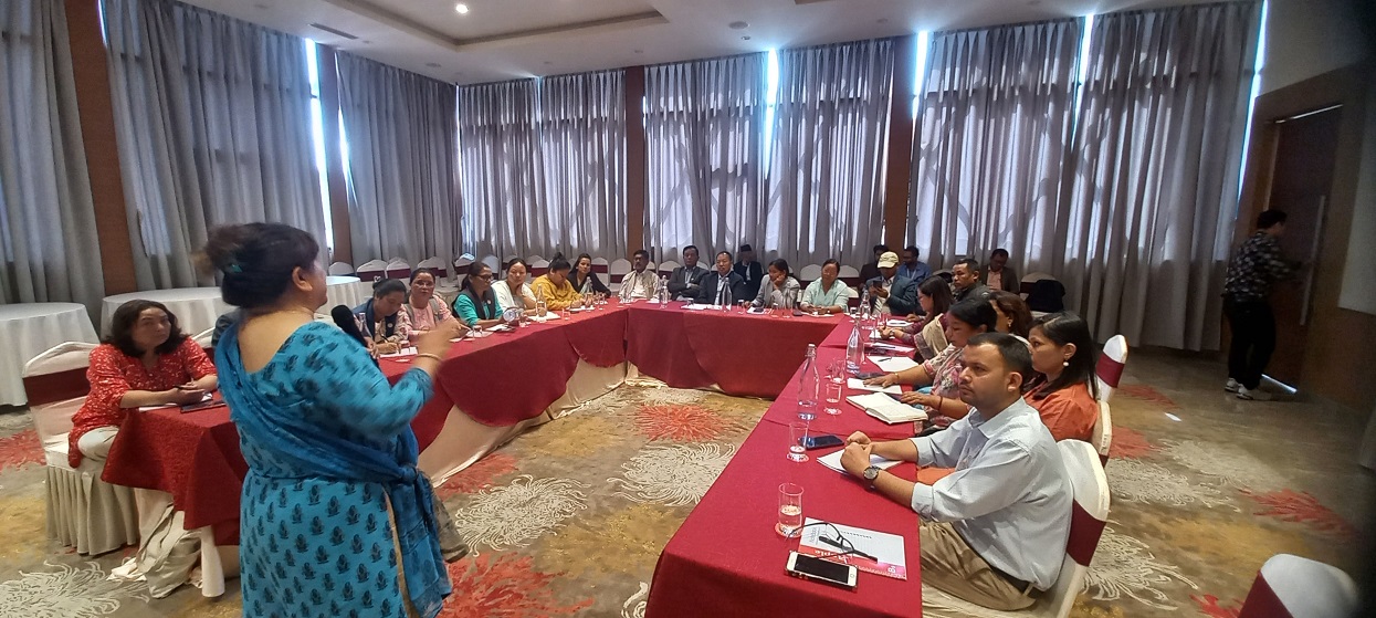 सांसदहरूद्वारा घरेलु श्रमसम्बन्धी अन्तर्राष्ट्रिय महासन्धिमा अनुमोदनमा सहयोग गर्ने प्रतिबद्धता