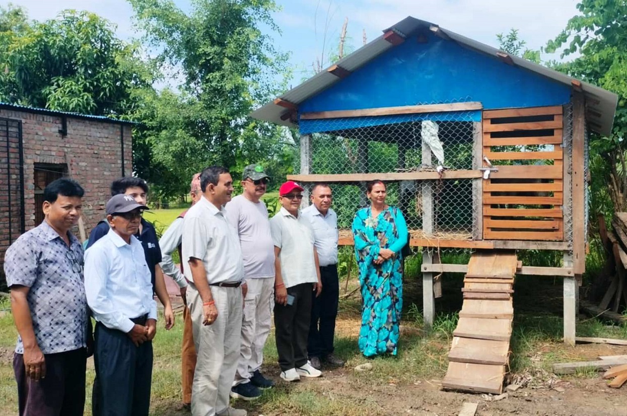 बाख्रापालनका लागि साझेदारीमा व्यवस्थित खोर निर्माण