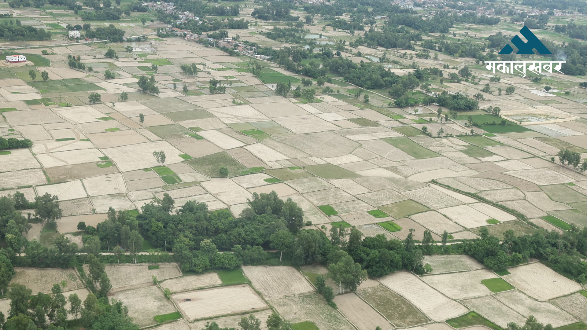 मधेशका सुक्खाग्रस्त क्षेत्रमा बेलायती संस्थाले सहयोग गर्ने