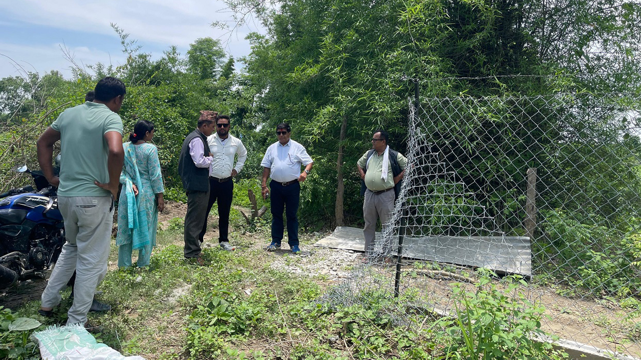 कैलालीमा ‘मेस वायर’ तार जाली निर्माण