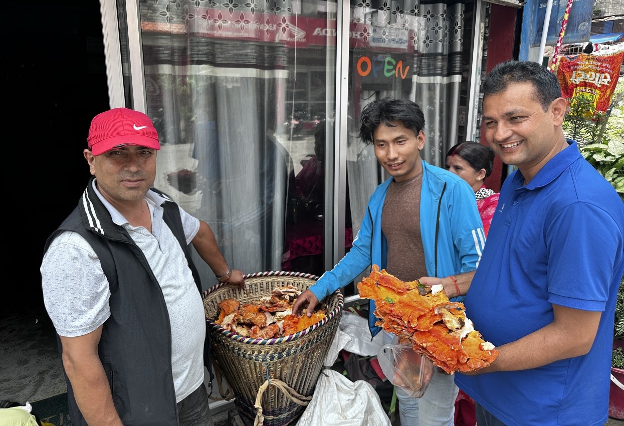 बेनी बजारमा रातो च्याउको माग बढी