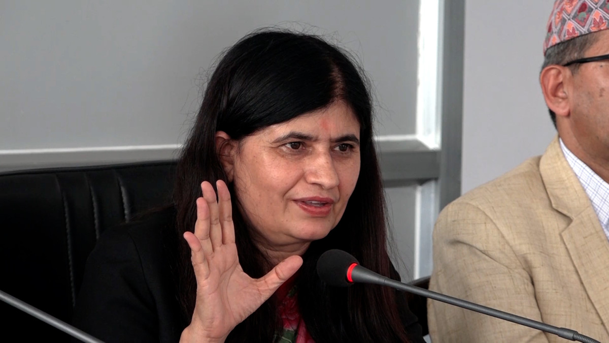 संघीय निजामती विधेयक भनेको ‘कुलिङ अफ पिरियड’ मात्रै भन्ने पारियो : मन्त्री न्यौपाने