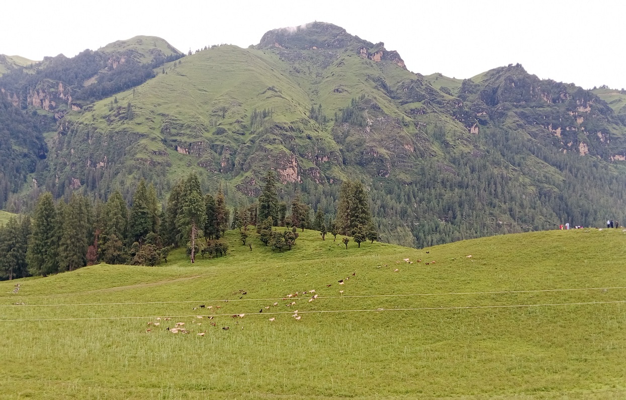 जुम्लाको धिमीचौर आन्तरिक पर्यटकीय गन्तव्य बन्दै