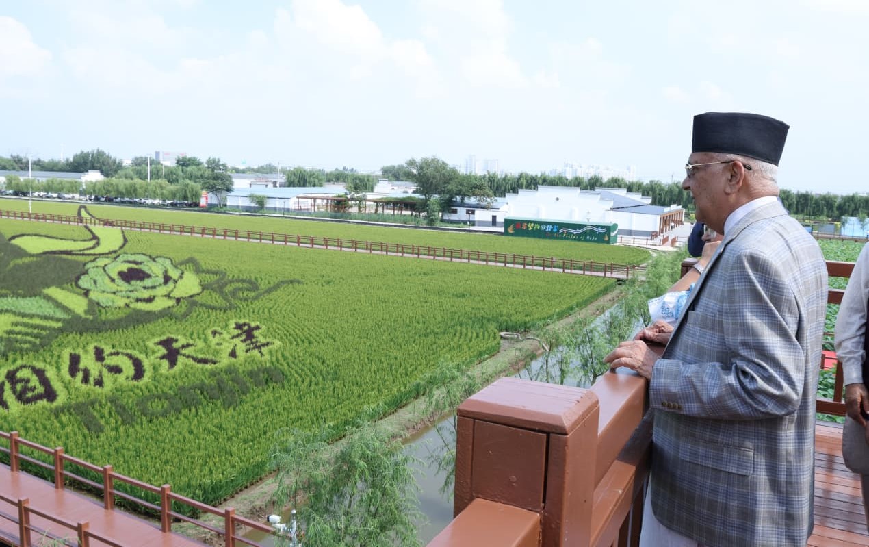 प्रधानमन्त्री ओलीले गरे धान उत्पादन विशेष क्षेत्रको अवलोकन (तस्बिरहरू)
