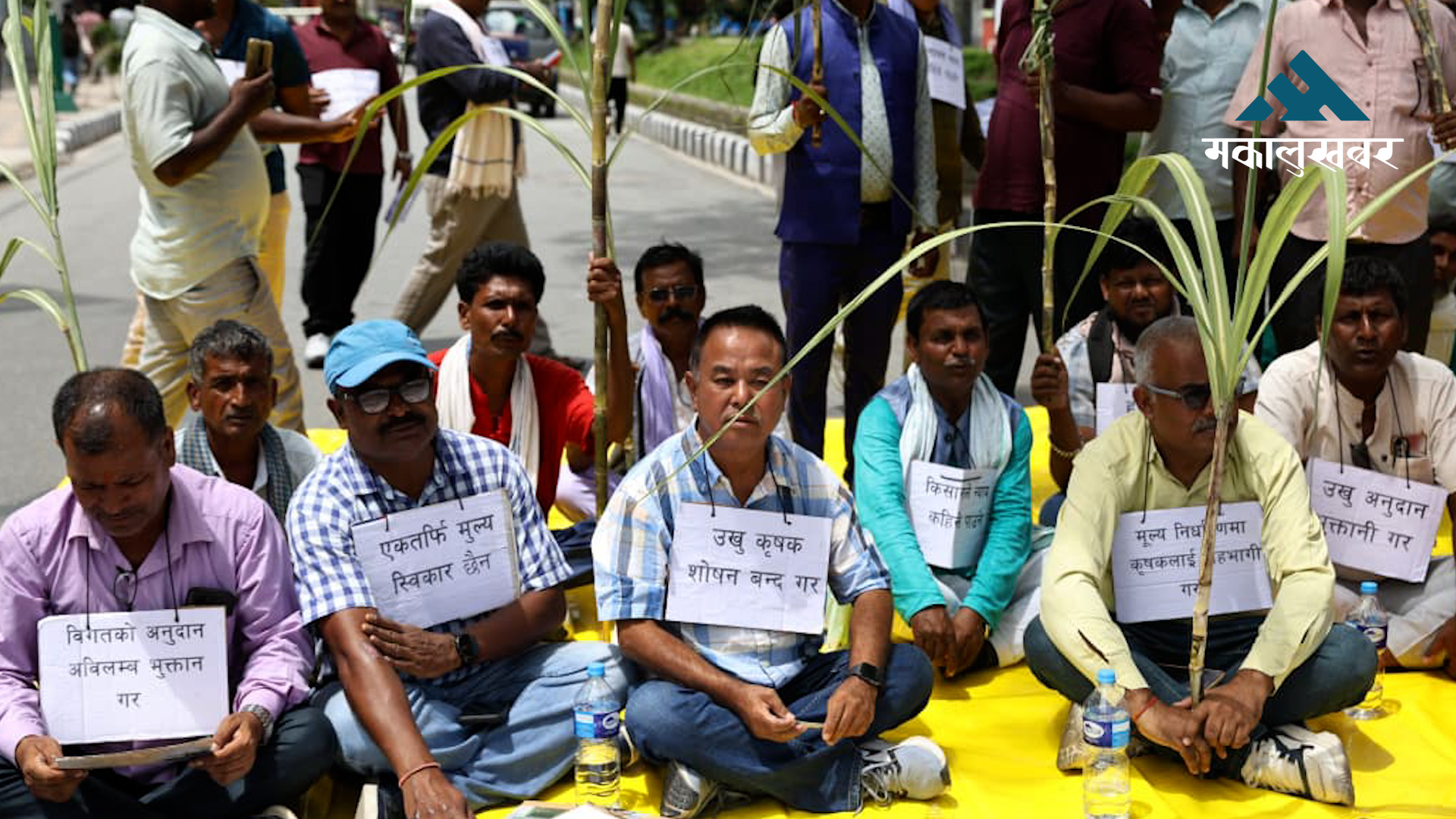 माइतीघरमा उखु उत्पादक महासंघको आन्दोलन (तस्बिरहरु)