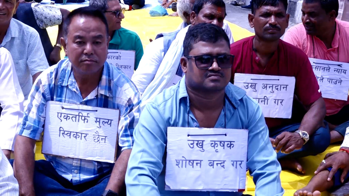 उखु किसानले वर्षेनी आन्दोलन गर्नुपर्ने अवस्था अन्त्य गरियोस् : उखु किसानहरू