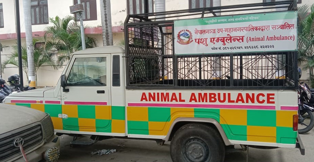 नेपालगञ्जमा ‘एनिमल एम्बुलेन्स’ सञ्चालन