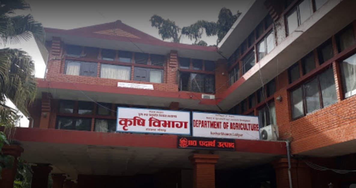 ५८ स्थानीय तहमा बीउ उत्पादन कार्यक्रम सञ्चालन