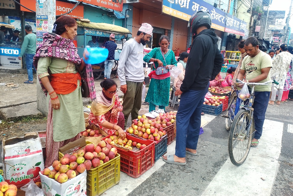 उपभोक्ताको रुचिमा कर्णालीको स्याउ