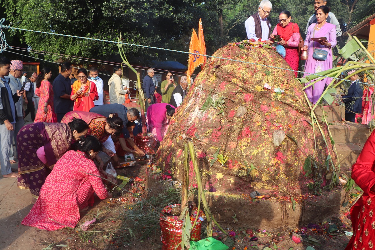 स्थानीय गाईको संरक्षण गर्दै वागीश्वरीमा गोवर्द्धन पूजा