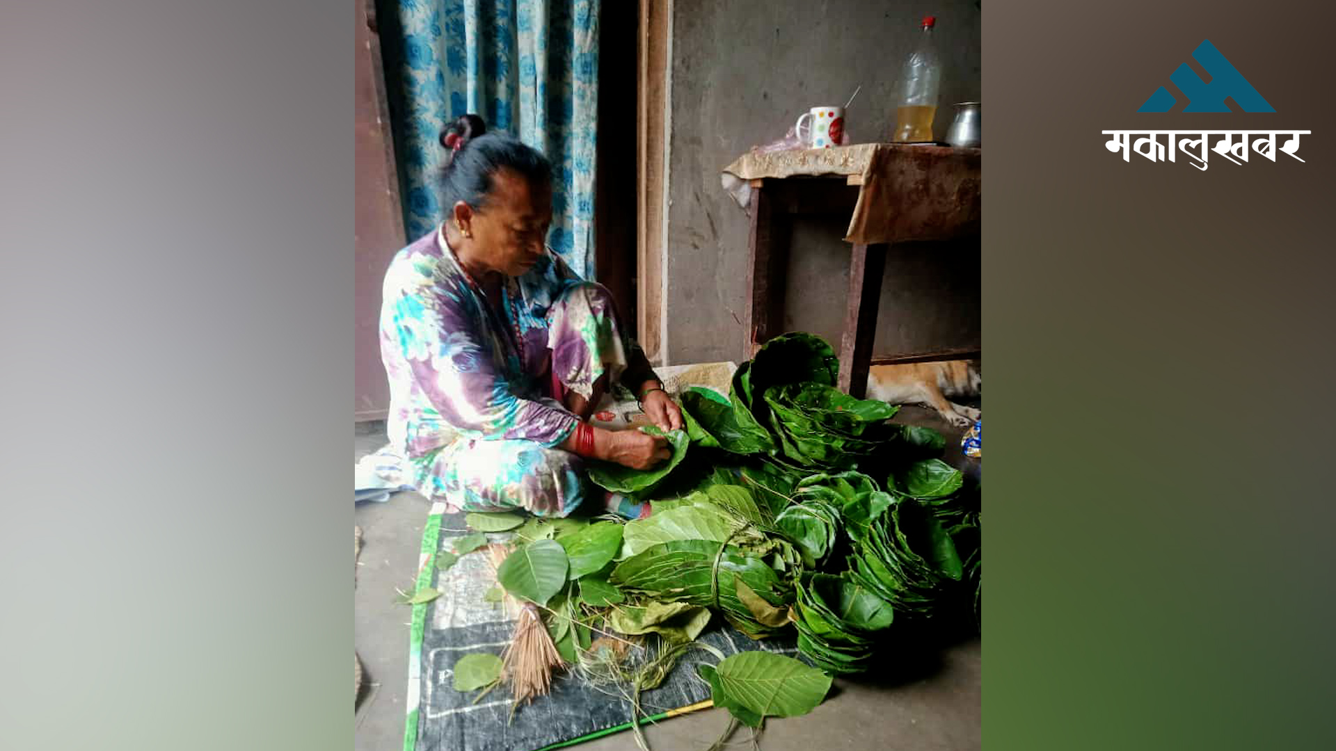 दुना टपरी बिक्रीबाट आकर्षक आम्दानी