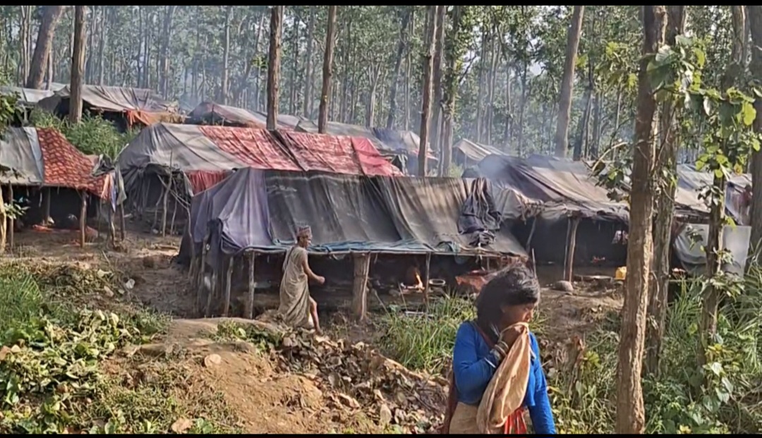 राउटे समुदायका युवा भन्छन्– रातका समयमा हाम्रो बस्तीलाई सुरक्षा चाहियो