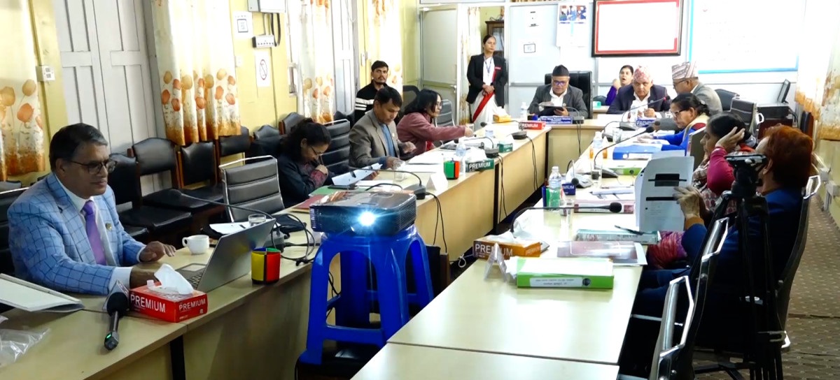 अध्यागमनसम्बन्धी कानुनी कमजोरीका कारण बेथिति बढ्योः सांसदहरू