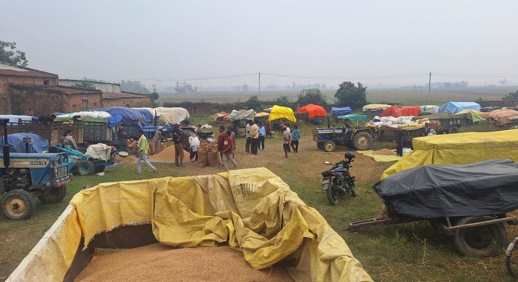 सरकारी खरिद केन्द्रमा धान बेच्न किसान रातभर लाइनमा
