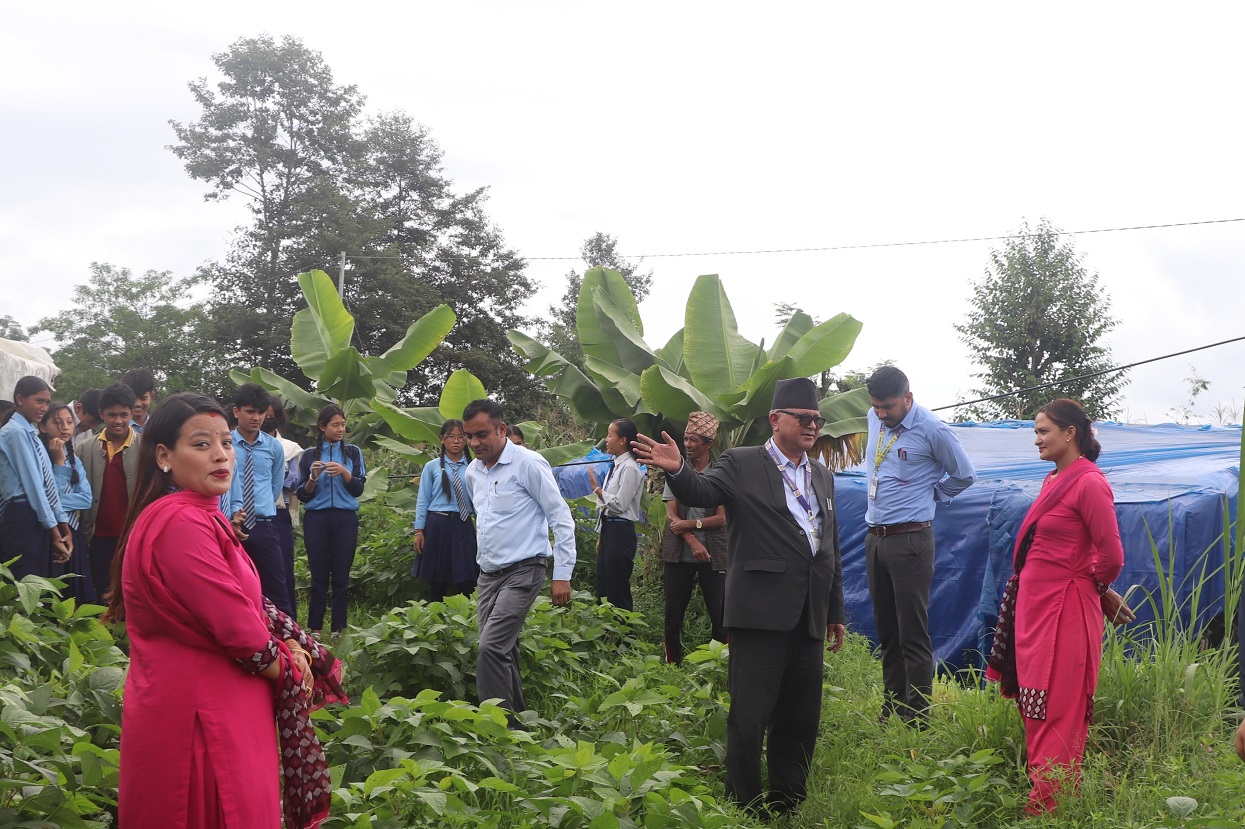 पढ्दै–कमाउँदै कार्यक्रम हटेसँगै सामुदायिक विद्यालय समस्यामा
