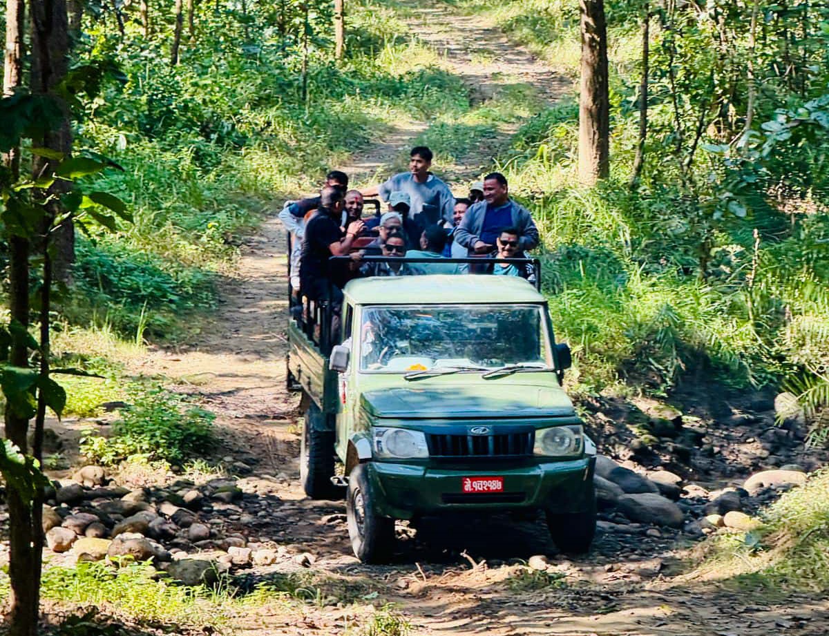 जङ्गल सफारीसँगै बाँके निकुञ्जमा पर्यटकको चहलपहल बढ्यो