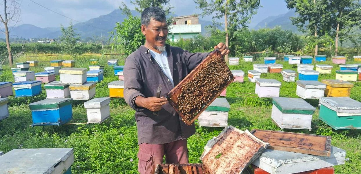 चितवनमा अन्तर्राष्ट्रिय मौरी सम्मेलन हुँदै